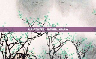 抖音评论赞网站,助您提升社交影响力