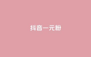 抖音一元1000粉 - 获取抖音1000粉丝仅需一元!