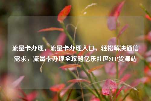 流量卡办理，流量卡办理入口，轻松解决通信需求	，流量卡办理全攻略亿乐社区SUP货源站  第1张