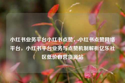 小红书业务平台小红书点赞，小红书点赞网络平台，小红书平台业务与点赞机制解析亿乐社区低价自营货源站  第1张