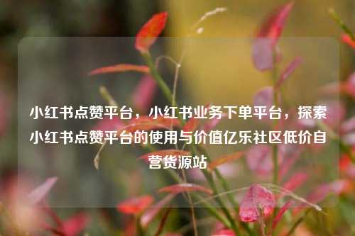 小红书点赞平台，小红书业务下单平台，探索小红书点赞平台的使用与价值亿乐社区低价自营货源站  第1张