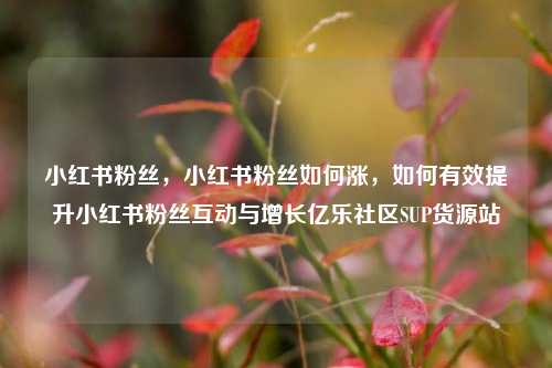 小红书粉丝，小红书粉丝如何涨，如何有效提升小红书粉丝互动与增长亿乐社区SUP货源站  第1张