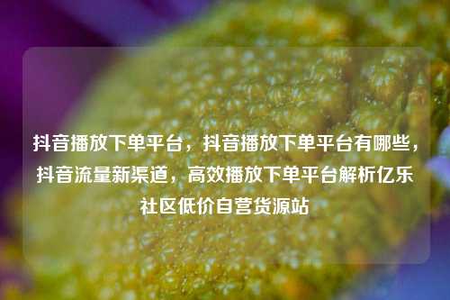 抖音播放下单平台，抖音播放下单平台有哪些	，抖音流量新渠道，高效播放下单平台解析亿乐社区低价自营货源站  第1张