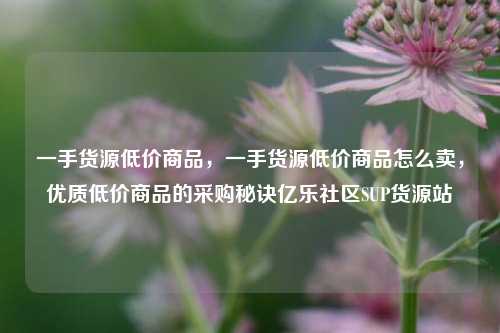 一手货源低价商品，一手货源低价商品怎么卖，优质低价商品的采购秘诀亿乐社区SUP货源站  第1张