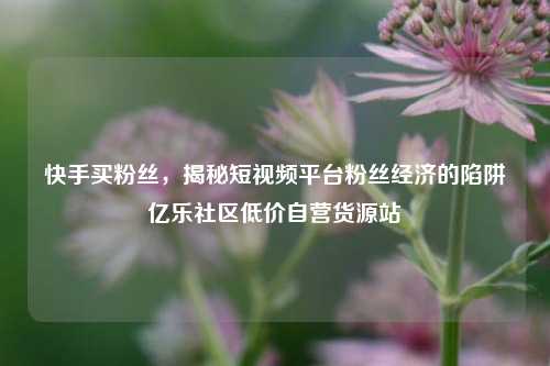 快手买粉丝，揭秘短视频平台粉丝经济的陷阱亿乐社区低价自营货源站  第1张