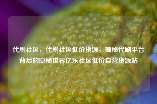 代刷社区，代刷社区低价货源，揭秘代刷平台背后的隐秘世界亿乐社区低价自营货源站  第1张