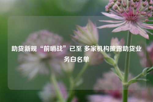 助贷新规“前哨战	”已至 多家机构披露助贷业务白名单  第1张