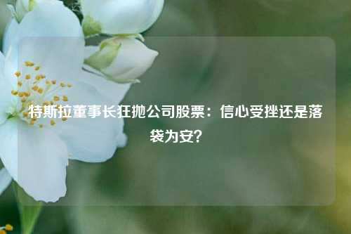 特斯拉董事长狂抛公司股票:信心受挫还是落袋为安?  第1张 特斯拉董事长狂抛公司股票:信心受挫还是落袋为安?  第1张