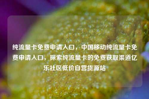 纯流量卡免费申请入口，中国移动纯流量卡免费申请入口	，探索纯流量卡的免费获取渠道亿乐社区低价自营货源站  第1张