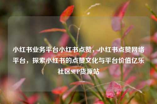 小红书业务平台小红书点赞，小红书点赞网络平台	，探索小红书的点赞文化与平台价值亿乐社区SUP货源站  第1张