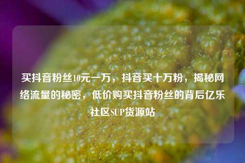 买抖音粉丝10元一万，抖音买十万粉，揭秘网络流量的秘密	，低价购买抖音粉丝的背后亿乐社区SUP货源站  第1张