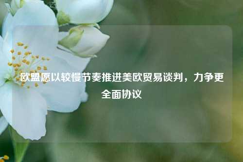 欧盟愿以较慢节奏推进美欧贸易谈判	，力争更全面协议  第1张