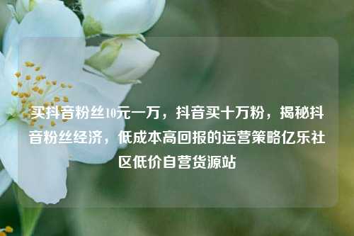 买抖音粉丝10元一万，抖音买十万粉	，揭秘抖音粉丝经济，低成本高回报的运营策略亿乐社区低价自营货源站  第1张