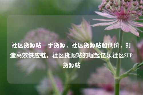 社区货源站一手货源，社区货源站超低价，打造高效供应链	，社区货源站的崛起亿乐社区SUP货源站  第1张
