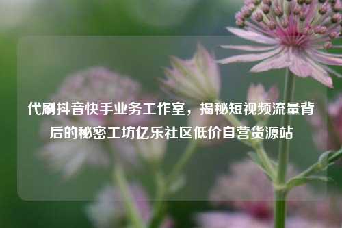 代刷抖音快手业务工作室，揭秘短视频流量背后的秘密工坊亿乐社区低价自营货源站  第1张