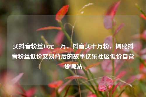 买抖音粉丝10元一万，抖音买十万粉	，揭秘抖音粉丝低价交易背后的故事亿乐社区低价自营货源站  第1张