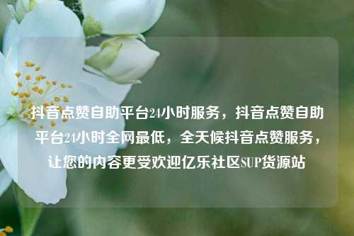 抖音点赞自助平台24小时服务，抖音点赞自助平台24小时全网最低，全天候抖音点赞服务，让您的内容更受欢迎亿乐社区SUP货源站  第1张