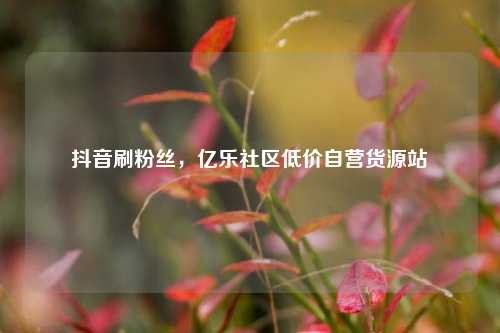 抖音刷粉丝，亿乐社区低价自营货源站  第1张
