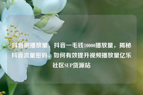 抖音刷播放量，抖音一毛钱10000播放量，揭秘抖音流量密码	，如何有效提升视频播放量亿乐社区SUP货源站  第1张