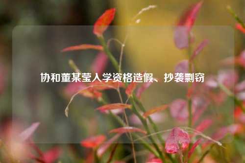 协和董某莹入学资格造假	、抄袭剽窃  第1张