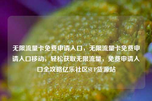 无限流量卡免费申请入口，无限流量卡免费申请入口移动	，轻松获取无限流量，免费申请入口全攻略亿乐社区SUP货源站  第1张
