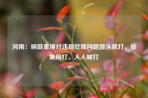 河南：响鼓重锤对违规吃喝问题露头就打、反复敲打、人人喊打  第1张