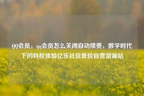 QQ会员，qq会员怎么关闭自动续费，数字时代下的特权体验亿乐社区低价自营货源站  第1张