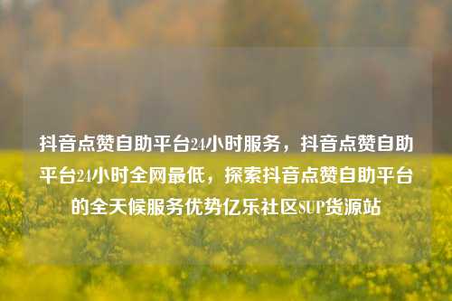 抖音点赞自助平台24小时服务，抖音点赞自助平台24小时全网最低，探索抖音点赞自助平台的全天候服务优势亿乐社区SUP货源站  第1张