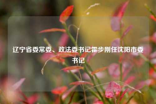 辽宁省委常委	、政法委书记霍步刚任沈阳市委书记  第1张