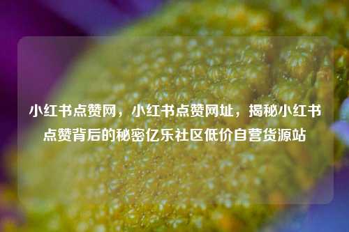 小红书点赞网，小红书点赞网址，揭秘小红书点赞背后的秘密亿乐社区低价自营货源站  第1张