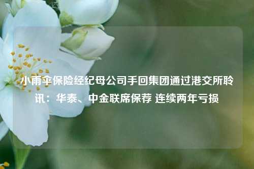 小雨伞保险经纪母公司手回集团通过港交所聆讯：华泰、中金联席保荐 连续两年亏损  第1张