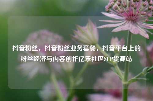 抖音粉丝	，抖音粉丝业务套餐，抖音平台上的粉丝经济与内容创作亿乐社区SUP货源站  第1张