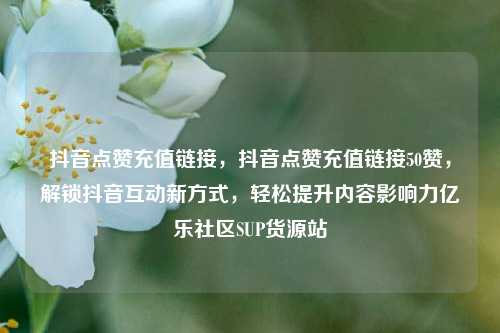 抖音点赞充值链接，抖音点赞充值链接50赞，解锁抖音互动新方式	，轻松提升内容影响力亿乐社区SUP货源站  第1张
