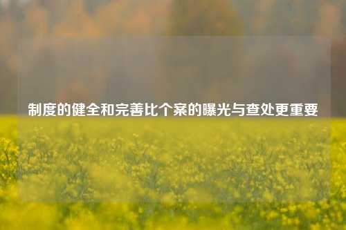 制度的健全和完善比个案的曝光与查处更重要  第1张 制度的健全和完善比个案的曝光与查处更重要  第1张