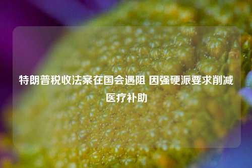 特朗普税收法案在国会遇阻 因强硬派要求削减医疗补助  第1张 特朗普税收法案在国会遇阻 因强硬派要求削减医疗补助  第1张