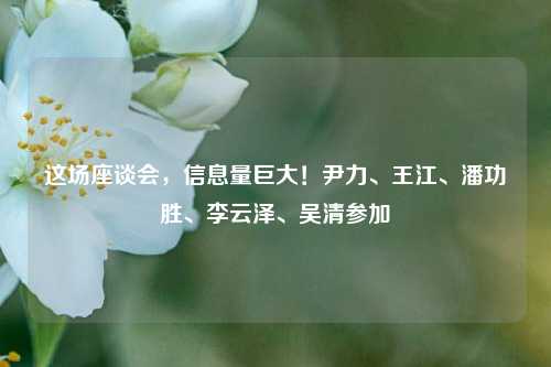 这场座谈会，信息量巨大！尹力、王江、潘功胜	、李云泽、吴清参加  第1张