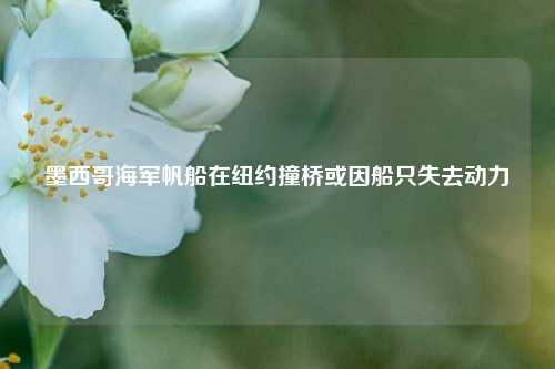 墨西哥海军帆船在纽约撞桥或因船只失去动力  第1张