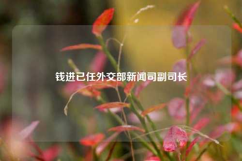 钱进已任外交部新闻司副司长  第1张