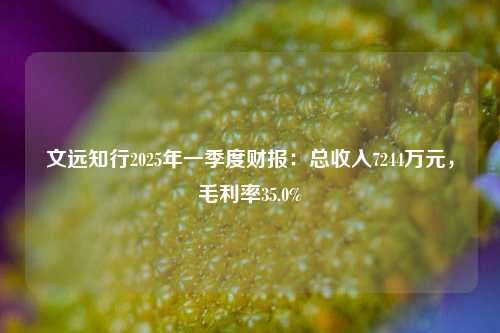 文远知行2025年一季度财报：总收入7244万元，毛利率35.0%  第1张