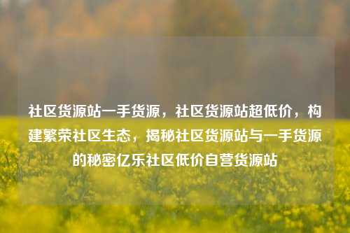 社区货源站一手货源，社区货源站超低价	，构建繁荣社区生态，揭秘社区货源站与一手货源的秘密亿乐社区低价自营货源站  第1张