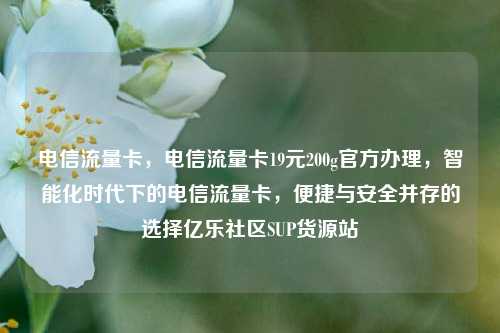 电信流量卡，电信流量卡19元200g官方办理，智能化时代下的电信流量卡	，便捷与安全并存的选择亿乐社区SUP货源站  第1张