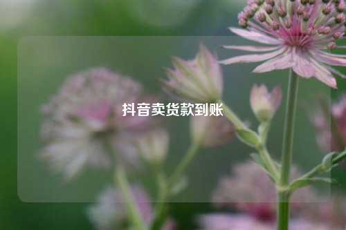 抖音卖货款到账  第1张
