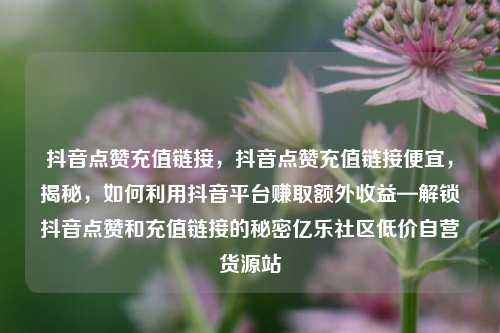 抖音点赞充值链接，抖音点赞充值链接便宜	，揭秘，如何利用抖音平台赚取额外收益—解锁抖音点赞和充值链接的秘密亿乐社区低价自营货源站  第1张