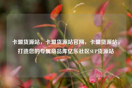 卡盟货源站，卡盟货源站官网，卡盟货源站	，打造您的专属商品库亿乐社区SUP货源站  第1张