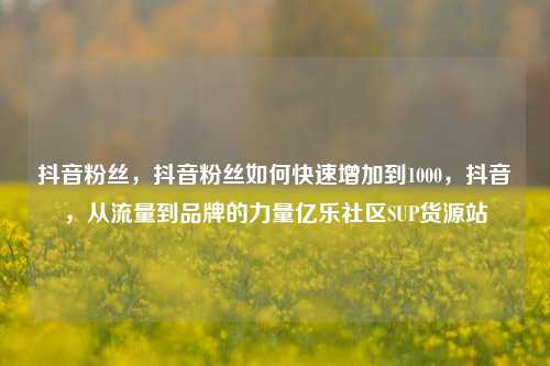 抖音粉丝，抖音粉丝如何快速增加到1000，抖音	，从流量到品牌的力量亿乐社区SUP货源站  第1张