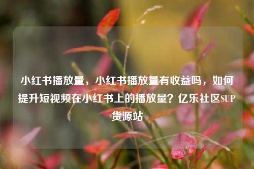 小红书播放量	，小红书播放量有收益吗，如何提升短视频在小红书上的播放量？亿乐社区SUP货源站  第1张