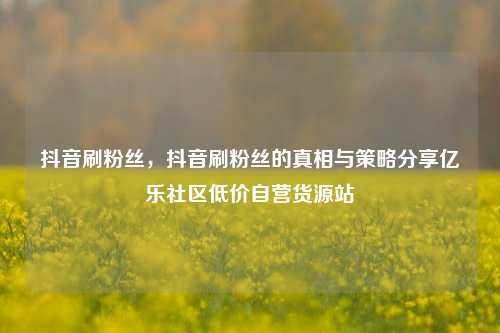 抖音刷粉丝，抖音刷粉丝的真相与策略分享亿乐社区低价自营货源站  第1张