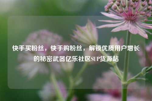 快手买粉丝，快手购粉丝	，解锁优质用户增长的秘密武器亿乐社区SUP货源站  第1张