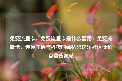免费流量卡，免费流量卡是什么套路，免费流量卡	，连接生活与科技的新桥梁亿乐社区低价自营货源站  第1张